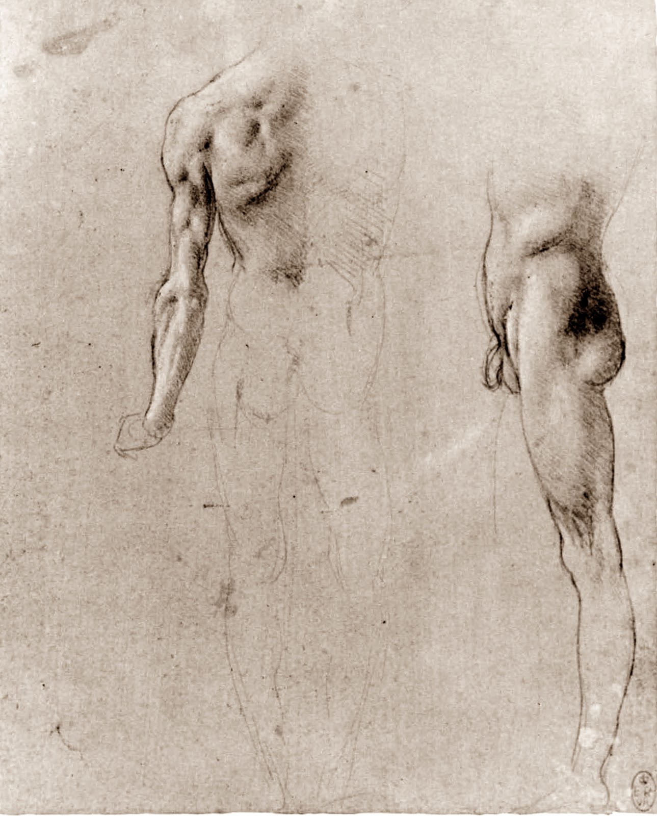 Leonardo+da+Vinci-1452-1519 (823).jpg